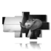 marco de fotos elefante dumbo - version: 8 pannelli 185x109cm