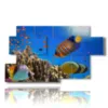 coral reef fish paintings - version: 7 pannelli 157x90cm