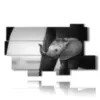 painting with photo elephant dumbo - version: 10 pannelli 190x110cm