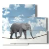 tableau avec des images d elephants equilibristes - version: 5 pannelli 102x93cm