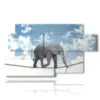 caja con imagenes de elefante equilibrista - version: 7 pannelli 157x90cm