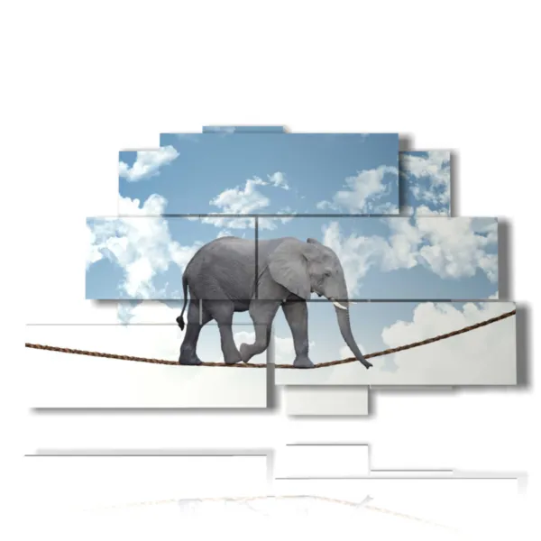 images of little elephants