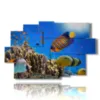 peces de arrecife de coral cuadros - version: 9 pannelli 171x108cm
