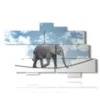 caja con imagenes de elefante equilibrista - version: 10 pannelli 195x118cm