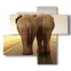 painting with funny elephant photos - version: 4 pannelli 94x85cm