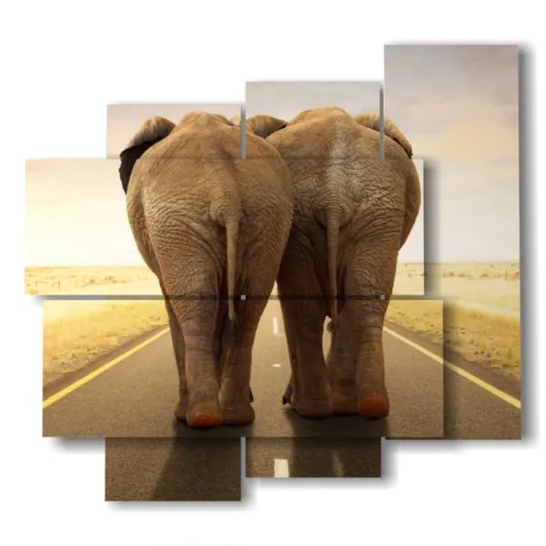 photo d''éléphants amusants