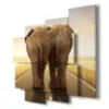 funny elephant prints