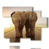 painting with funny elephant photos - version: 6 pannelli 127x102cm