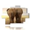 tableau avec de droles de photos d elephants - version: 9 pannelli 164x114cm