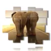 painting with funny elephant photos - version: 15 pannelli 186x152cm