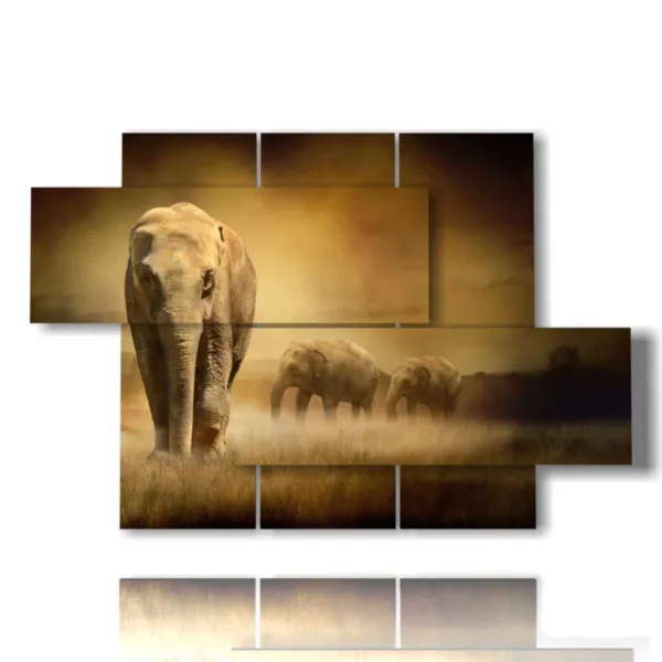 immagine elefante africano