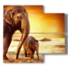 modern paintings with elephants in the family - version: 4 pannelli 91x85cm