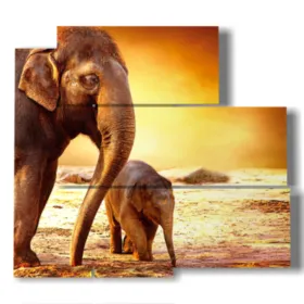Modern paintings with elephants