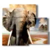 marco con foto de elefante africano - version: 5 pannelli 102x93cm