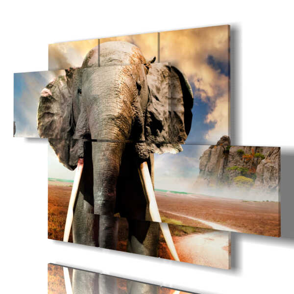 Tableau photo éléphant d'Afrique