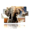 painting with african elephant photos - version: 9 pannelli 171x108cm