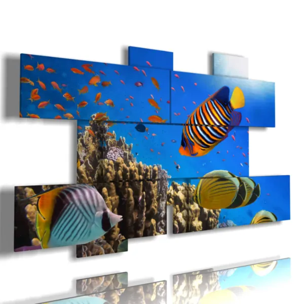 Aquarienbilder des Riffhais.