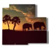 painting with elephant images - version: 5 pannelli 102x93cm