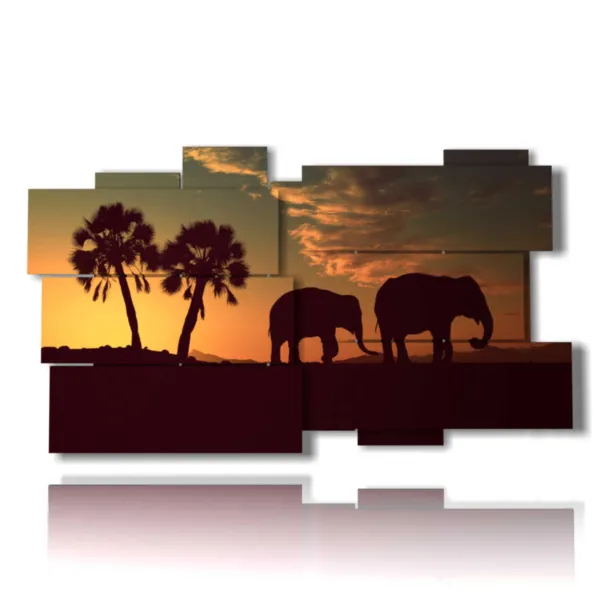 elephant images