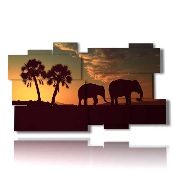 quadro con immagini elefanti