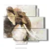 tableau de photos d elephants indiens - version: 6 pannelli 113x99cm