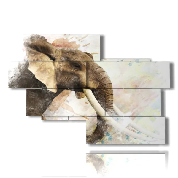 photo d''un éléphant indien