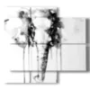 painting with pictures of elephants - version: 4 pannelli 91x85cm