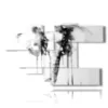 painting with pictures of elephants - version: 7 pannelli 171x108cm