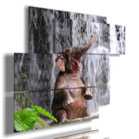quadro con immagine di elefante simpaticone