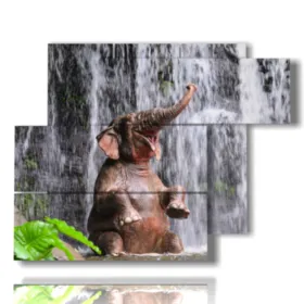 Elephant image