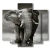 painting with photos of indian elephants - version: 5 pannelli 89x85cm