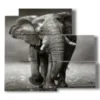 painting with photos of indian elephants - version: 5 pannelli 102x93cm
