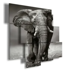 quadro con foto elefanti indiani