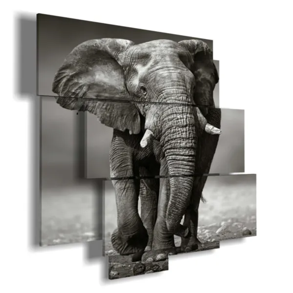 tableau avec une photo d''éléphants indiens