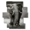 peinture photo elephant indien - version: 11 pannelli 137x151cm