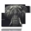 quadro con immagine elefante - version: 6 pannelli 122x96cm