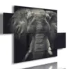 Tableau avec une image d''éléphant.