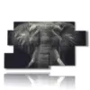 quadro con immagine elefante - version: 7 pannelli 157x90cm