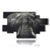 bild mit elefantenbild - version: 12 pannelli 206x119cm