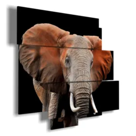 Tableau avec des images d''éléphants colorés