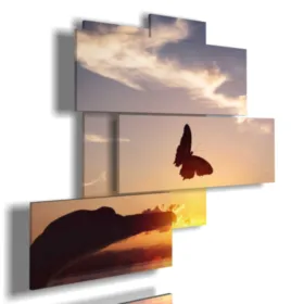 stilisierten Schmetterlingsbilder