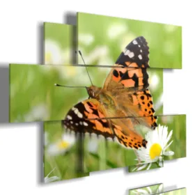 Paintings of butterflies in a daisies meadow