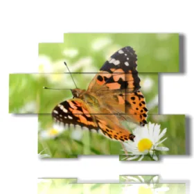 quadri sulle farfalle