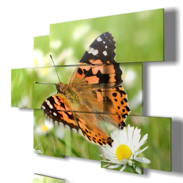 cuadros mariposas