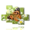 cuadros de mariposas en un prado de margaritas - version: 6 pannelli 135x96cm