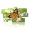 cuadros de mariposas en un prado de margaritas - version: 9 pannelli 182x107cm
