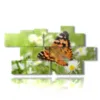 paintings on butterflies in a meadow of daisies - version: 10 pannelli 200x106cm