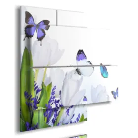 3D butterfly paintings