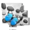 tableau papillon dans les pierres - version: 6 pannelli 113x99cm