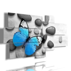 mariposa cuadros